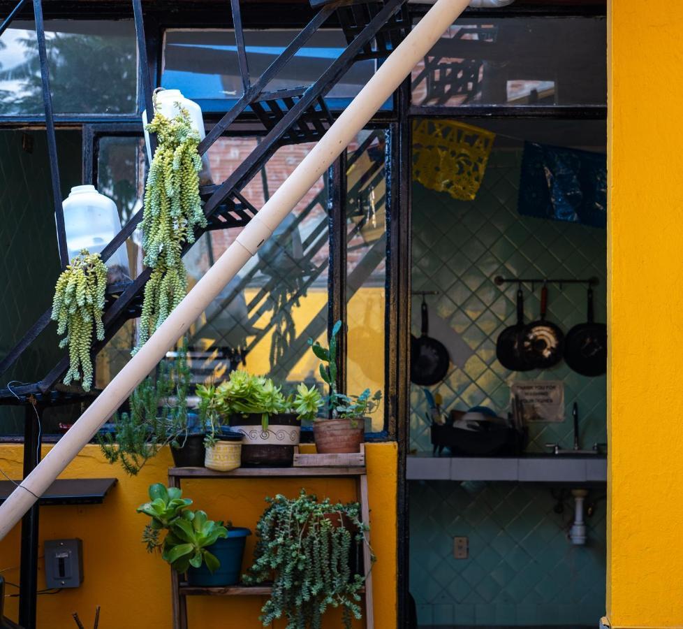 Hostal Pochon Oaxaca Zewnętrze zdjęcie