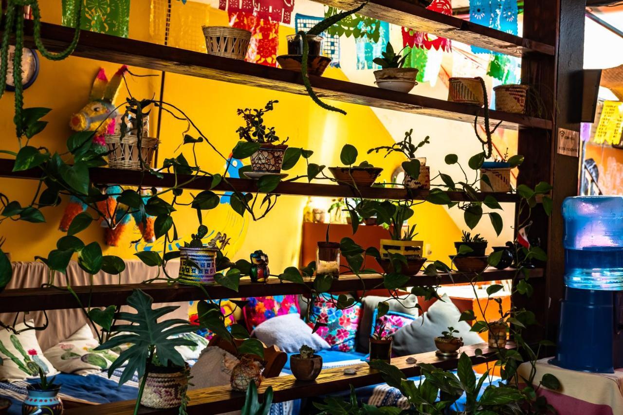 Hostal Pochon Oaxaca Zewnętrze zdjęcie
