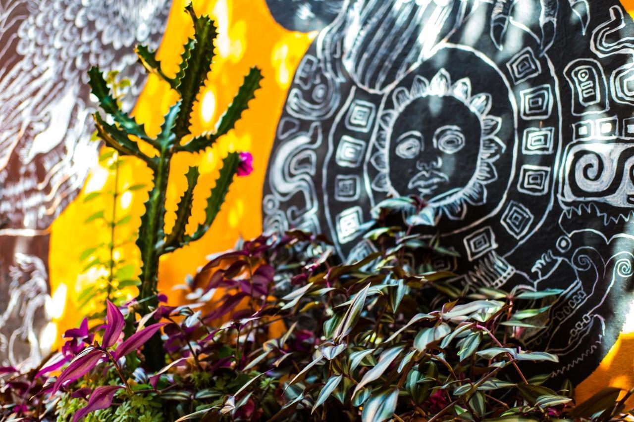 Hostal Pochon Oaxaca Zewnętrze zdjęcie