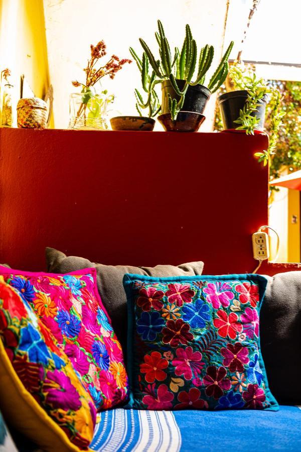 Hostal Pochon Oaxaca Zewnętrze zdjęcie