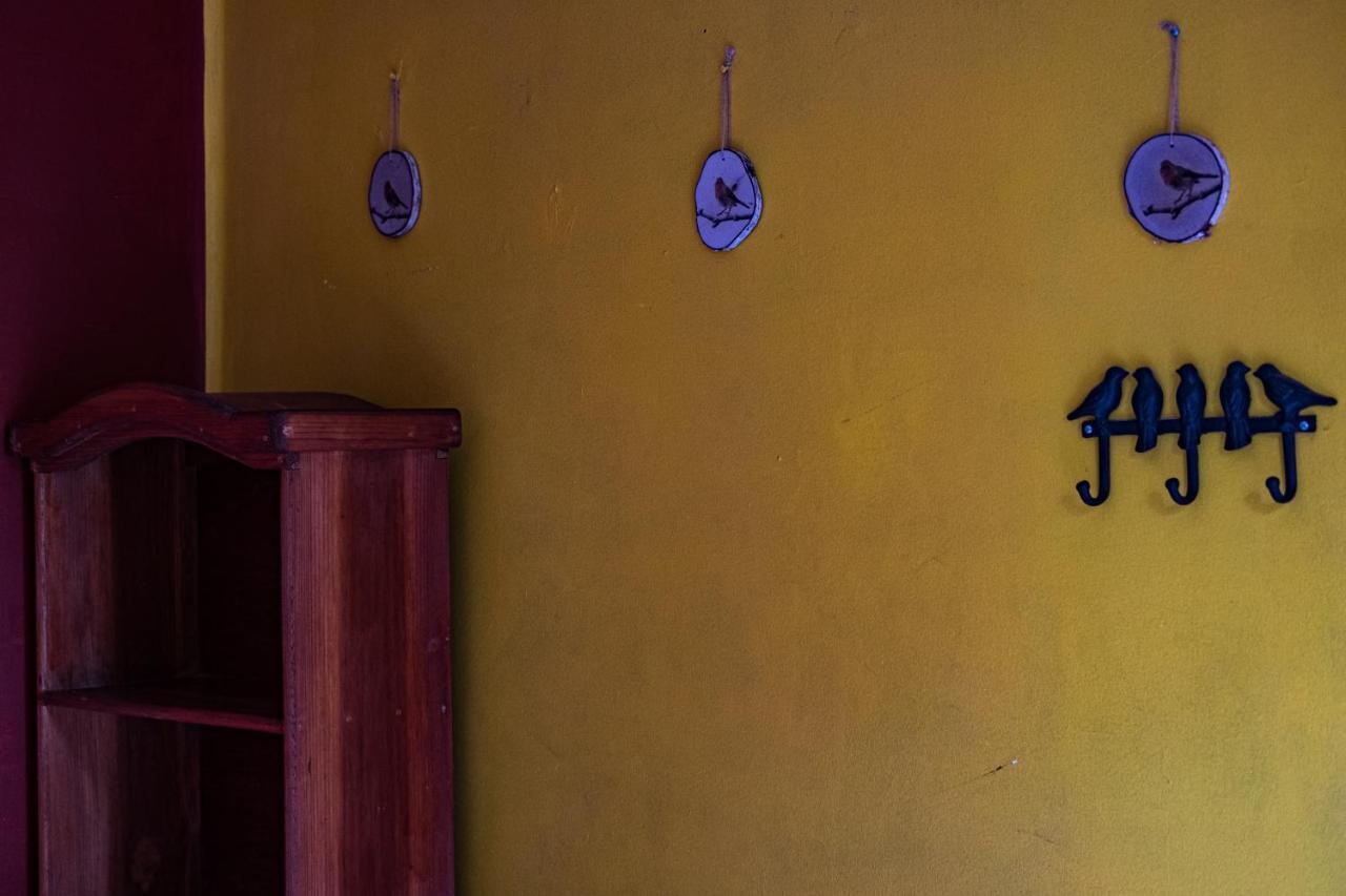 Hostal Pochon Oaxaca Zewnętrze zdjęcie